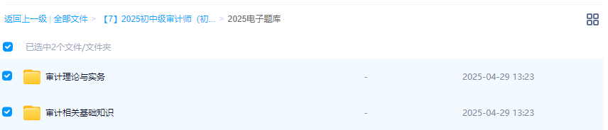 2025年【初、中级审计师】