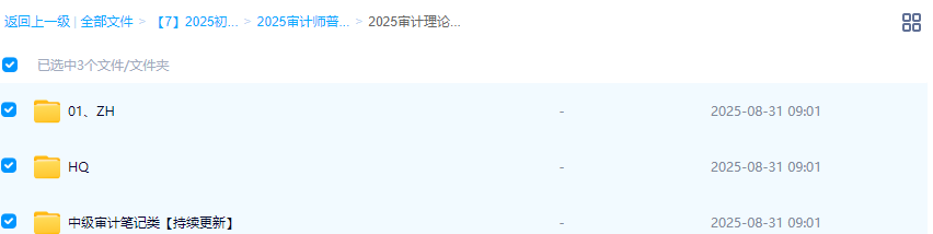 2025年【初、中级审计师】