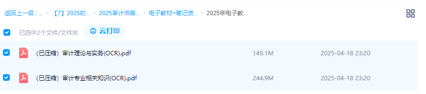2025年【初、中级审计师】