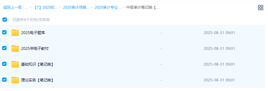 2025年【初、中级审计师】